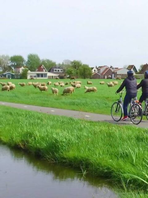 Cycling through the Dutch Countryside on an Avalon Active Shore Excursion